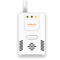 Home Security Carbon Monoxide CO Alarm and Natrual Gas Detector Leakage LPG Alarm Sensor